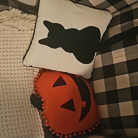 Pillows - Picture 2 of 6